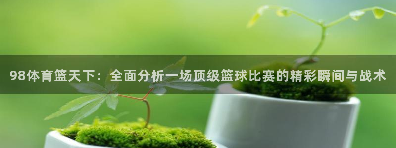 98体育篮天下：全面分析一场顶级篮球比赛的精彩瞬间与战术