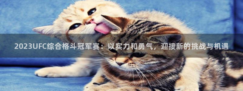2023UFC综合格斗冠军赛：以实力和勇气，迎接新的挑战与机遇