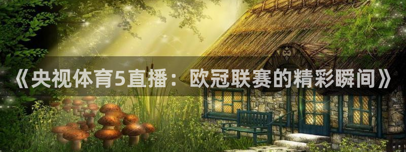 《央视体育5直播：欧冠联赛的精彩瞬间》